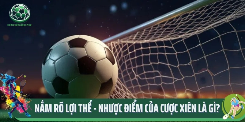 Nắm Rõ Lợi Thế Và Nhược Điểm Của Cược Xiên Là Gì? 