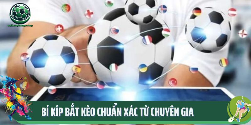 Tỷ Lệ Kèo Siêu Hấp Dẫn Tại Chuyên Mục Thể Thao Soikeophatgoc 3 Bí kíp bắt kèo chuẩn xác từ chuyên gia soikeophatgoc